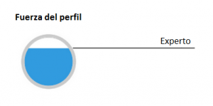 Perfil LinkedIn